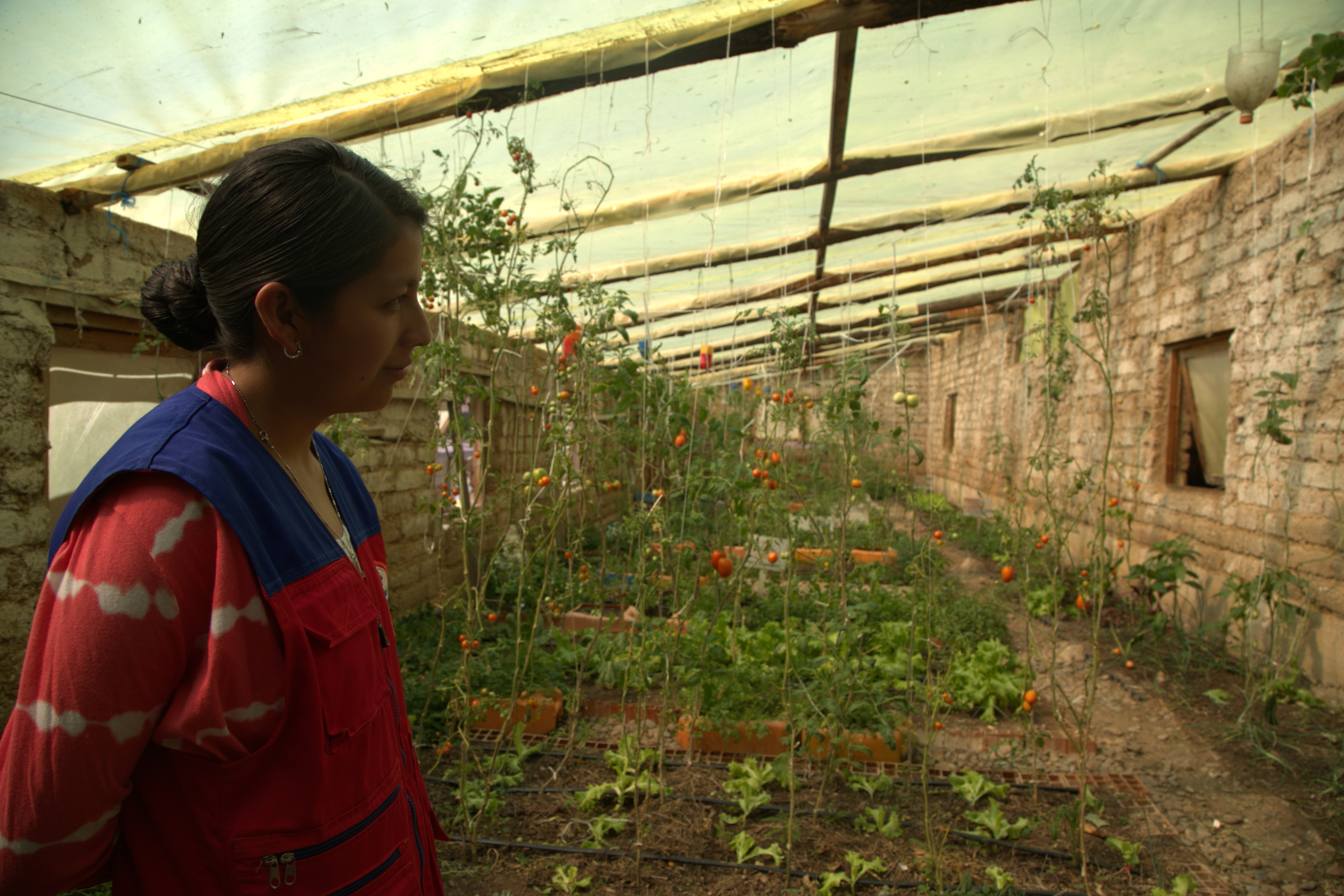 Educación ambiental en instituciones de Sucre