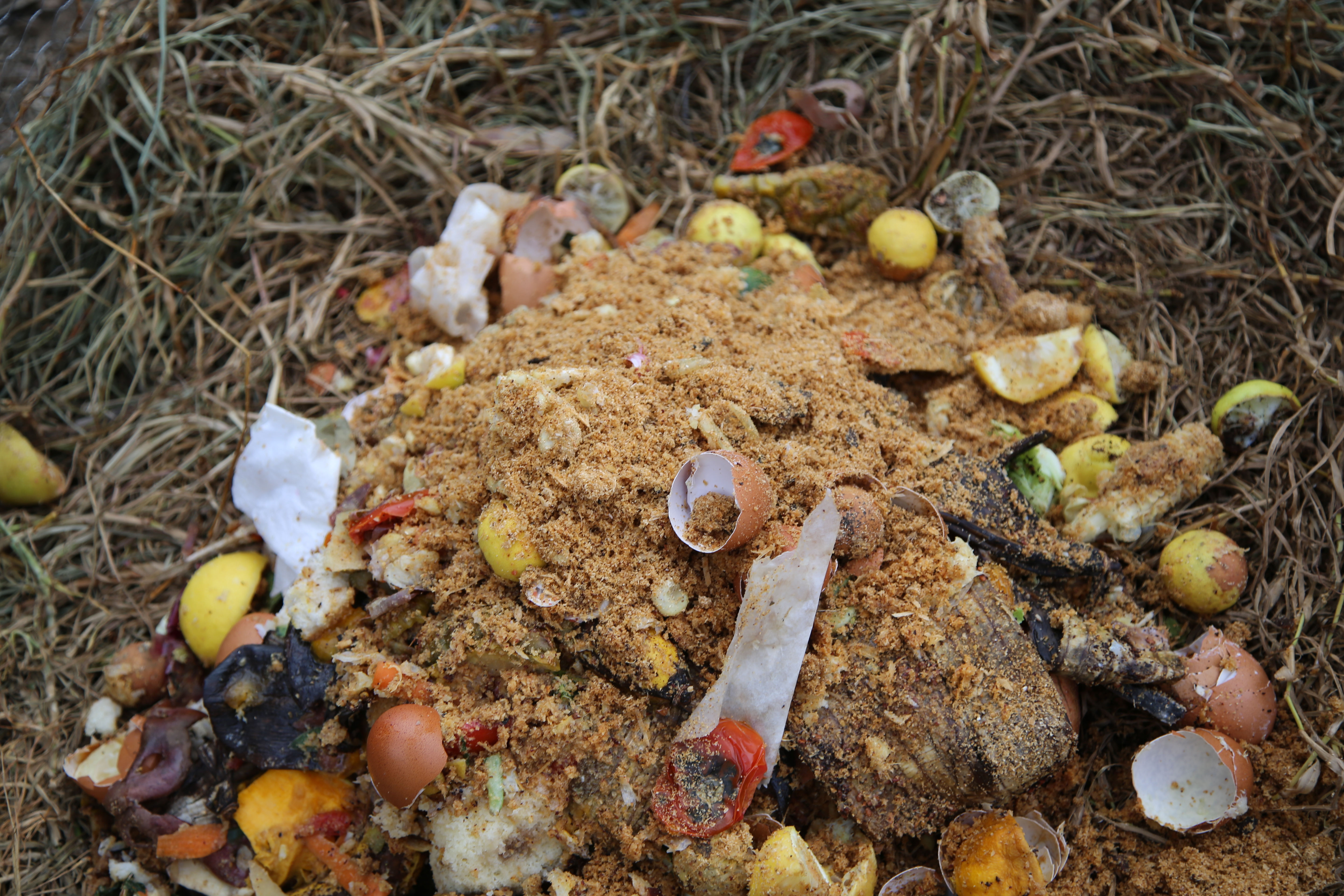 Metodo de compostaje con la Paca Biodigestora