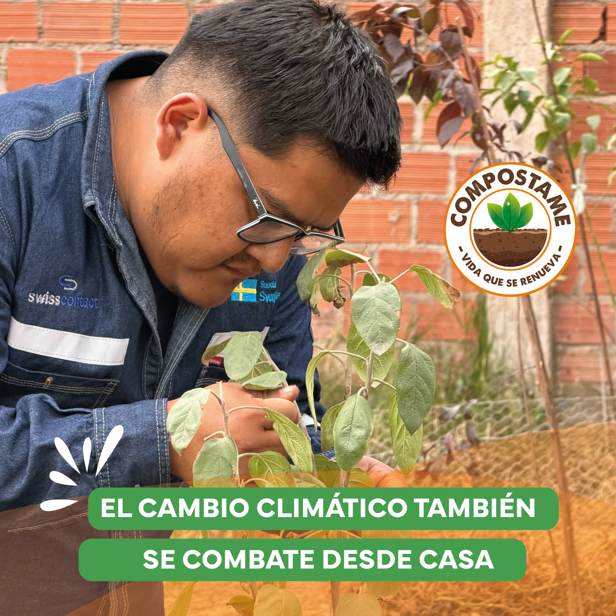 Compost Terminado de Alta Calidad